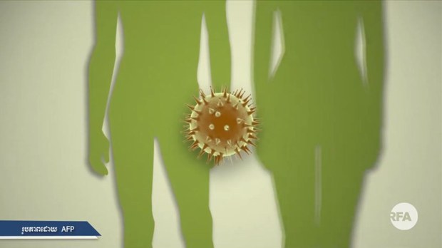 កម្ពុជា​រក​ឃើញ​មេរោគ​កូវីដ១៩​បំប្លែង​ខ្លួន​ថ្មី​លើ​ពលករ ៣​រូប​ ដែល​ត្រឡប់​ពី​ប្រទេស​ថៃ