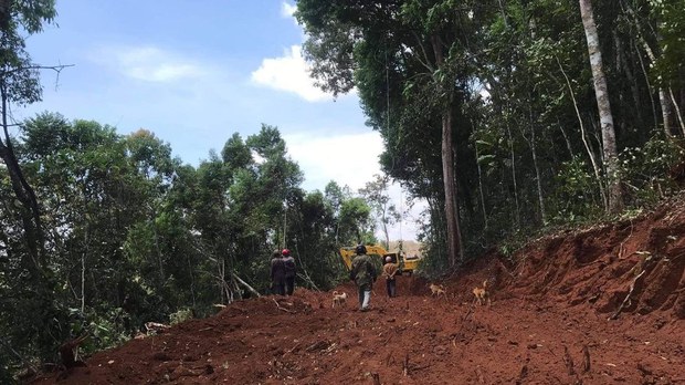 ពលរដ្ឋ​ និង​សង្គម​ស៊ីវិល​រិះគន់​តុលាការ​ខេត្ត​មណ្ឌល​គិរី​ រឿង​ដោះ​លែង​ជន​សង្ស័យ​ករណី​ឈូស ឆាយ​ព្រៃ​សហគមន៍​ទ្រង់ទ្រាយ​ធំ