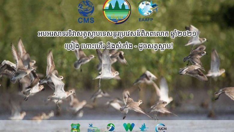 ក្រសួង​បរិស្ថាន​ចូលរួម​ប្រារព្ធ​ទិវា​សត្វ​ស្លាប​ទេសន្តរប្រវេសន៍​ពិភពលោក​នៅ​ថ្ងៃទី ១០ ឧសភា​នេះ​ ដើម្បី​អប់រំ​ផ្សព្វផ្សាយ​ និង​លើកកម្ពស់​ការយល់ដឹង​អំពី​ការអភិរក្ស