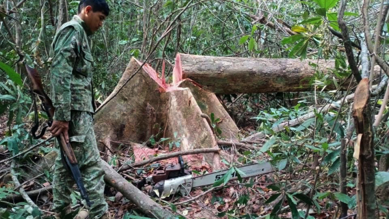 សមត្ថកិច្ច​ឃាត់ខ្លួន​អ្នកភូមិ​ ៤ ​នាក់ ​គោយន្ត​ ៦ ​គ្រឿង​ និង​ឈើ​ជាង​ ១ ​ម៉ែត្រគុប