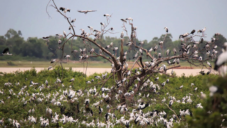 រដ្ឋាភិបាល​បង្កើត​តំបន់​ប្រើប្រាស់​ច្រើនយ៉ាង​ទួល​ព័ន្ធ​តាឡី​បឹងស្នេហ៍ នៅ​ក្រុង-ស្រុក​ចំនួន​ ៤ នៃ​ខេត្តព្រៃវែង