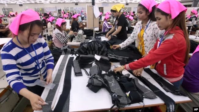 សហជីព​ថា​ការ​នាំ​ចេញ​របស់​កម្ពុជា​ធ្លាក់​ចុះ ដោយ​សារ​វិបត្តិ​សកលនិង​បញ្ហា​ប្រព័ន្ធ​អនុ​គ្រោះ​ពន្ធ 