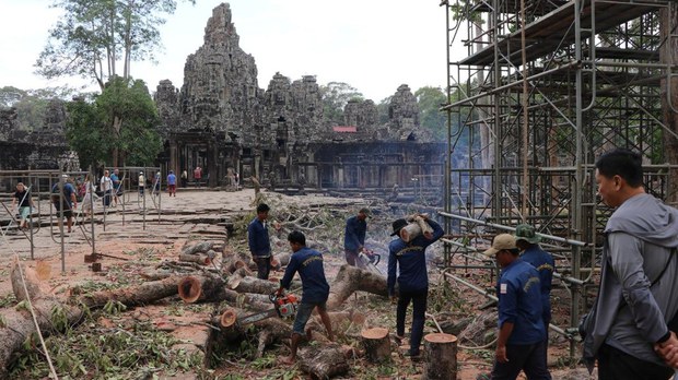 ពលរដ្ឋ​មិន​ចង់​ឱ្យ​អាជ្ញាធរ​អប្សរា​កាប់​ដើម​ឈើ​ធំៗ តំបន់​ប្រាសាទ​បាយ័ន