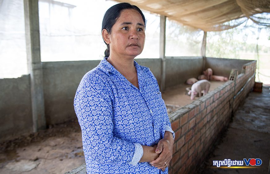 ក្រសួងប្រាប់ឱ្យពលរដ្ឋប្រុងប្រយ័ត្ន ក្រោយ រកឃើញជ្រូកនាំចូលពីថៃមានជំងឺប៉េស្តជ្រូកអាហ្វ្រិក