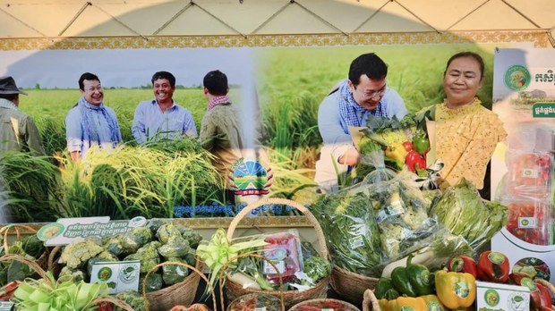 កសិករ និង​អ្នកជំនាញ​កសិកម្ម​ស្នើ​រដ្ឋាភិបាល​ដាក់ចេញ​យុទ្ធនាការ​ជួយ​ទីផ្សារ​កសិផល​ខ្មែរ​ទូទាំង​ប្រទេស