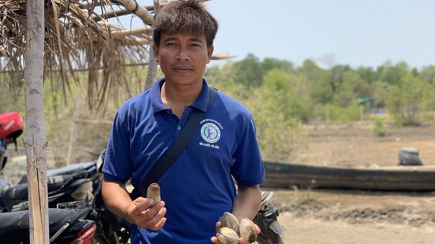 ពលរដ្ឋ​មួយចំនួន​នៅ​ខេត្ត​កំពត​មុជទឹក​រក​ខ្យង​សមុទ្រ​លក់​ដោះស្រាយ​ជីវភាព