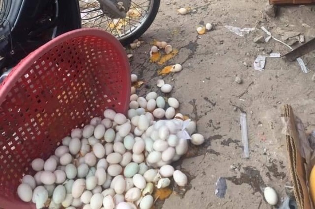 អភិបាលខេត្តព្រះសីហនុ បញ្ឈប់ការងារបុរសម្នាក់ ដែលបំផ្លាញពងទារបស់ពលរដ្ឋ 