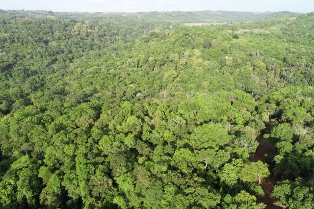 ជាតិពីឆ្នាំ២០១៦ ដល់២០២០ កម្ពុជាបានចំណូលប្រមាណ១១,៦លានដុល្លារពីការលក់ឥណទានកាបូន 