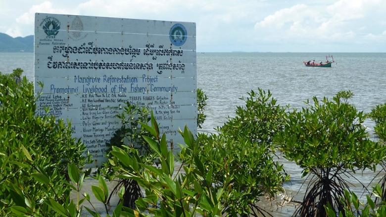 គណៈកម្មការ​អន្តរក្រសួង និង​ខេត្ត​ចុះ​ធ្វើ​បច្ចុប្បន្នភាព​ព្រៃ​កោងកាង​នៅ​ខេត្តកំពត