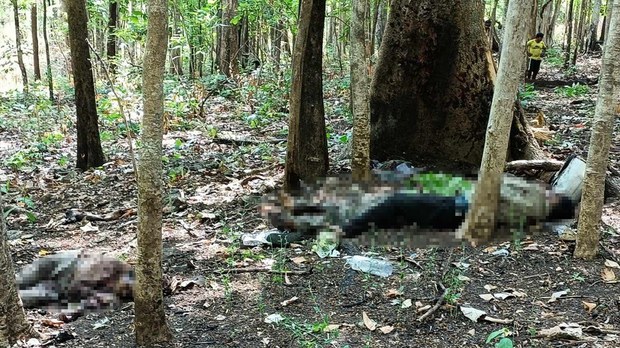 អាជ្ញាធរ​ខេត្តមណ្ឌលគិរី​ណែនាំ​ពលរដ្ឋ​ឲ្យ​ប្រុងប្រយ័ត្ន​នឹង​គ្រាប់មីន នៅ​ពេល​ចូល​ព្រៃ ព្រោះ CMAC មិន​ទាន់​​ចូល​ដោះ​មីន​