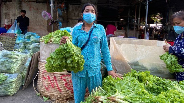 កសិករ​ដាំ​បន្លែ​​មួយ​ចំនួន​នៅ​ខេត្ត​កណ្ដាល​​ទុក​​កសិផល​ចោល​ពេញ​ដី​ដោយសារ​​គ្មាន​អ្នក​ទិញ​​ក្រោយ​ពេល​បិទ​ខ្ទប់​ភ្នំពេញ