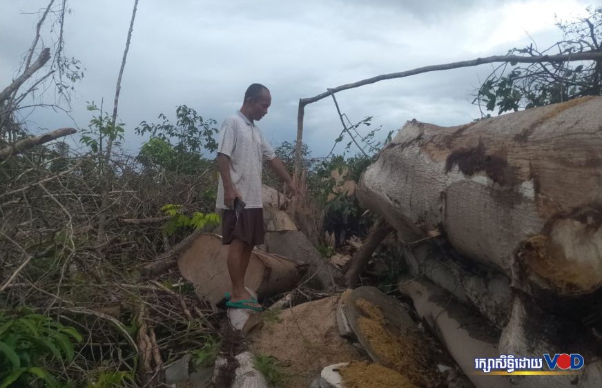 បទយកការណ៍៖ លោក សយ សាត ហ៊ាន​ពលី​ជីវិត​ដើម្បី​សកម្មភាព​ការពារ​ព្រៃឈើ