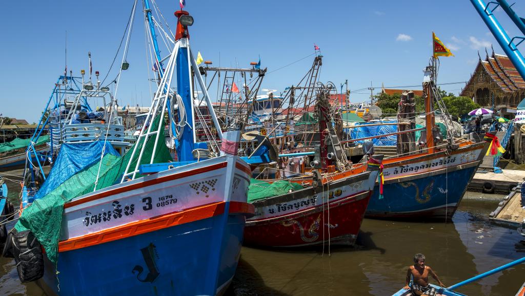 អង្គការ​អន្តរជាតិ​ថា​ពលករ​ខ្មែរ​ជា​ច្រើន​នៅ​លើ​ទូក​នេសាទ​ថៃ​កំពុង​រង​ការ​រំលោភ​សិទ្ធិ