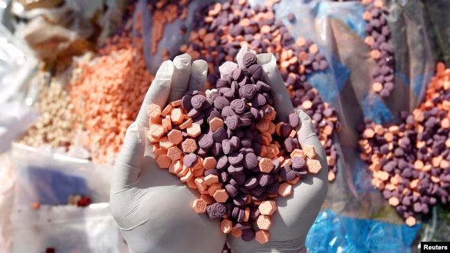 មន្រ្តី​អន្តោប្រវេសន៍​៨នាក់​ត្រូវ​បណ្តេញ​ចេញ​ពី​ក្របខណ្ឌ ក្រោយ​រក​ឃើញ​សារធាតុ​ញៀន