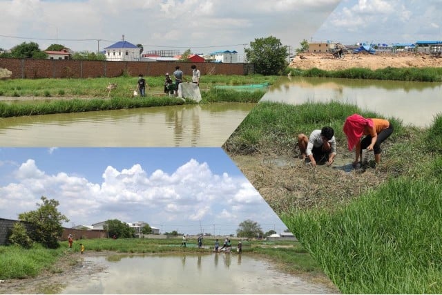 កម្មកររោងចក្រខ្លះនៅសង្កាត់កន្ទោក ខណ្ឌកំបូល ដើររកត្រី ក្ដាម ខ្យង យកធ្វើម្ហូប ដើម្បីដោះស្រាយជីវភាព 