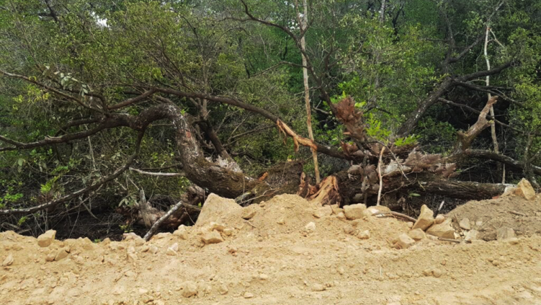 អាជ្ញាធរ​រកមុខ​អ្នកចាក់ដី​ចូល​សមុទ្រ និង​តំបន់​ប្រើប្រាស់​ដោយ​ចីរភាព