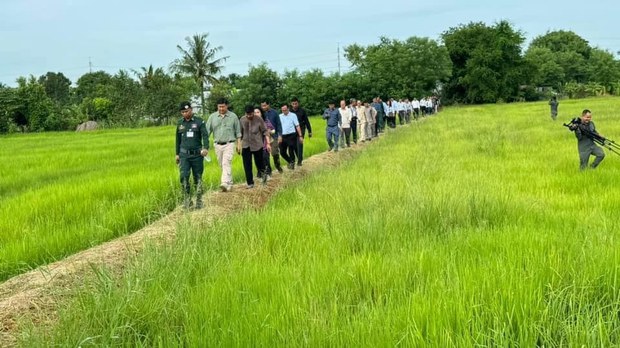 ស្រែ​របស់​កសិករ​មួយចំនួន​នៅ​ខេត្ត​បាត់ដំបង​កំពុង​ជួប​គ្រោះ​រាំងស្ងួត
