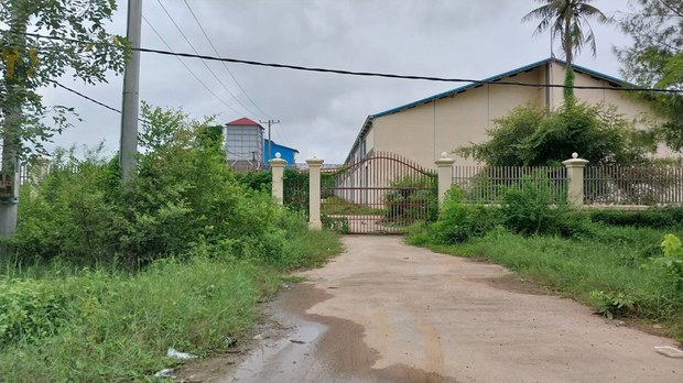 ពលរដ្ឋ​នៅ​ខេត្តបាត់ដំបង​នៅ​តែ​បន្ត​ដាំ​ក្រចៅ​ដោះស្រាយ​ជីវភាព