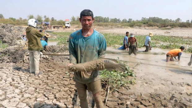 សហគមន៍​ខេត្តកំពង់ឆ្នាំង​ស្នើ​ឲ្យ​អាជ្ញាធរ​សង្គ្រោះ​បឹង និង​ត្រី​មេ​ពូជ​ងាប់​ដោយសារ​គ្រោះ​រាំងស្ងួត