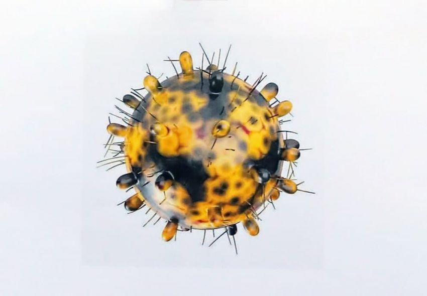 កម្ពុជា​បាន​រកឃើញ​អ្នក​ឆ្លង​មេរោគ​កូវីដ ១៩​ បន្ថែម​ចំនួន​ ២ នាក់ ​និង​អ្នកជា​សះស្បើយ​ ១ នាក់ 