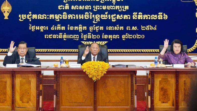 គណៈកម្មាធិការ​អចិន្ត្រៃយ៍​រដ្ឋ​សភា​អនុម័តលើ​ពិធី​សារ​ខណ្ឌ​សីមា ​និង​បោះ​បង្គោល​ព្រំដែន​គោកកម្ពុជា​-វៀតណាម​