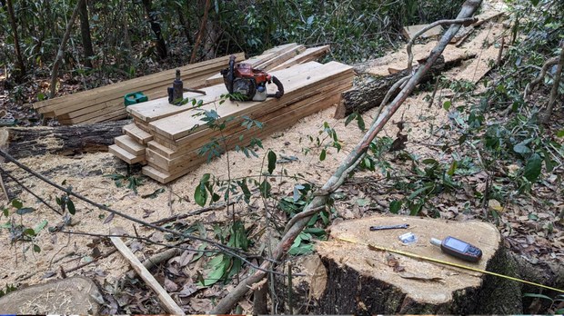 ប្រជា​សហគមន៍​រក​ឃើញ​បទ​ល្មើស​ព្រៃឈើ​ជាង ​២រយ​ករណី​ក្នុង​ព្រៃព្រះរការ