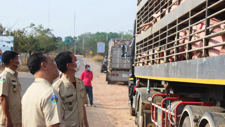 រដ្ឋមន្ត្រី​កសិកម្ម​ច្រាន​ចោលការ​ចោទថា មាន​ការឃុបឃិត​ក្នុង​ជំនួញ​​នាំ​ជ្រូក​ចូល​ពី​ថៃ ហើយ​អះអាង​ថា អ្វីដែល​ក្រសួង​ធ្វើ ដើម្បី​បង្ការ​ជំងឺឆ្លង