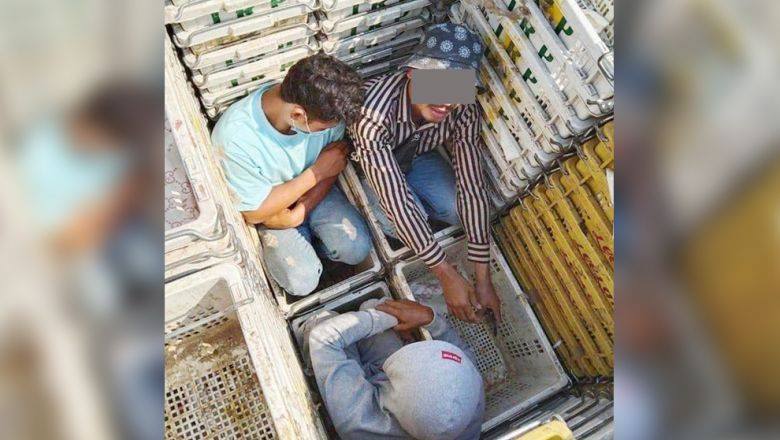 នគរបាល​ឃាត់ខ្លួន​មេខ្យល់​ ៤ ​នាក់​​ ដឹក​ពលករ​ខុសច្បាប់​បញ្ជូន​ទៅ​តុលាការ