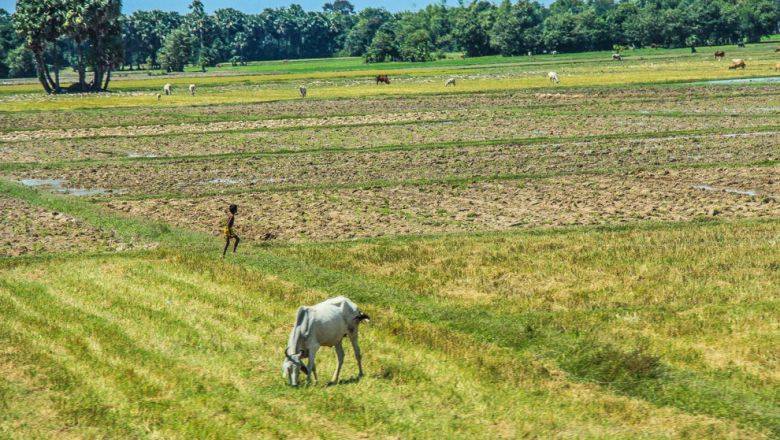 កម្ពុជា​ស្វាគមន៍​ការវិនិយោគ​ពី​ធនាគារ​អឺរ៉ុប​ក្នុង​ទឹកប្រាក់ $៩៧ ​លាន​ ដើម្បី​ធ្វើ​ទំនើបកម្ម​ប្រព័ន្ធធារាសាស្ត្រ