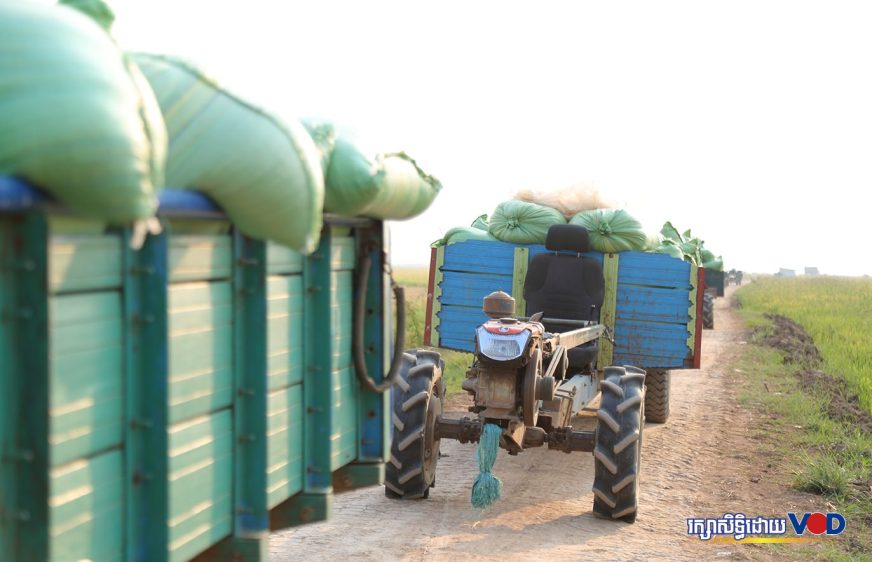 វិភាគ៖ តើ​រដ្ឋាភិបាល​ត្រូវ​សង្គ្រោះ​វិបត្តិ​ទីផ្សារ​កសិករ​ដោយ​របៀបណា?