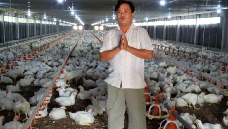 អ្នក​ចិញ្ចឹម​មាន់​អំពាវនាវ​ឱ្យជួយ​ទិញ​ ​ខណៈ​តម្លៃ​ធ្លាក់​ដល់​ ១ ៣០០ ​រៀល​ ក្នុង​ ១ ​គីឡូ