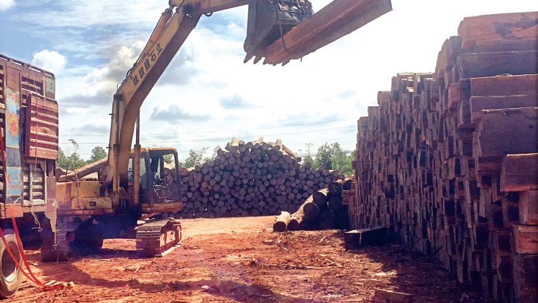 ទិន្នន័យ​នៃ​ការនាំ​ឈើ​ចេញ​របស់​កម្ពុជា​​ ត្រូវ​បាន​ចោទ​ជា​សំណួរ