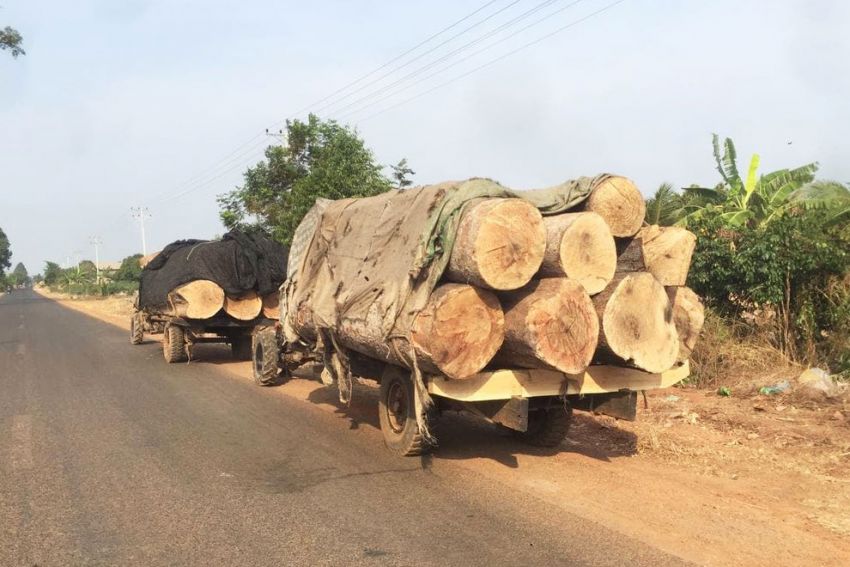 បទល្មើស​ព្រៃឈើ​នៅតែ​បន្ត​កើតមាន​ក្នុង​តំបន់​ការពារ​ក្នុង​ស្រុក​សន្ទុក ពេល​ជំងឺ​កូវីដ១៩​កំពុង​រីក​រាលដាល