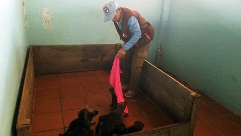 ឆ្នាំនេះ CMAC ត្រៀម​បង្កើត​សត្វ​សុនខ​ឱ្យបាន​ជាង​ ១០០ ​ក្បាល ​សម្រាប់​បម្រើការ​ផ្នែក​កម្ចាត់មីន