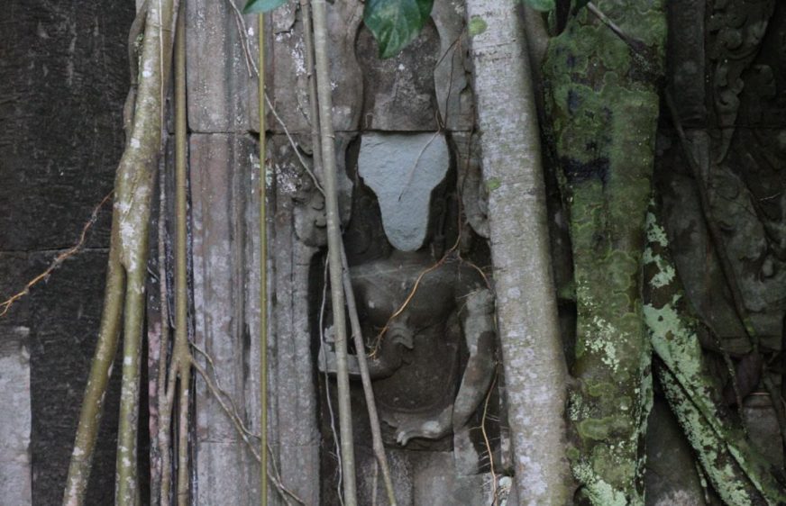 អាជ្ញាធរជាតិ​អប្សរា​គ្រោង​បិទ​ផ្ទៃមុខ​អប្សរា​ដែល​របេះជ្រុះ​នៅ​ប្រាសាទ​តាព្រហ្ម​ឡើង​វិញ