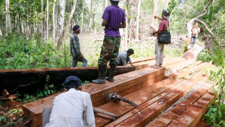 សកម្មជន​ឃាត់ខ្លួន​ជន​ប្រព្រឹត្ត​បទល្មើស​ព្រៃឈើ​បាន ៧៣ ​នាក់