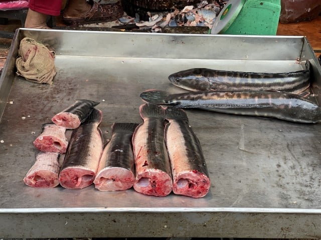 ក្រុមវារីវប្បករស្នើឲ្យរដ្ឋជួយទិញត្រីពីកសិករដើម្បីផ្គត់ផ្គង់តម្រូវការនាអំឡុងពេលបិទខ្ទប់ 