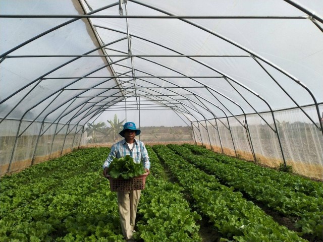 សហគមន៍កសិកម្មចំនួន១១ ចងសម្ព័ន្ធគ្នាដើម្បីពង្រឹងទីផ្សារបន្លែ និងជំរុញសេដ្ឋកិច្ចជនបទ