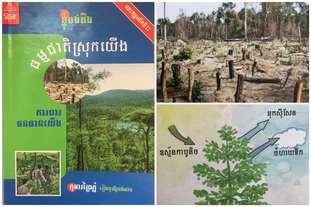 តើមានអ្វីកើតឡើង ពេលព្រៃឈើបាត់បង់? 