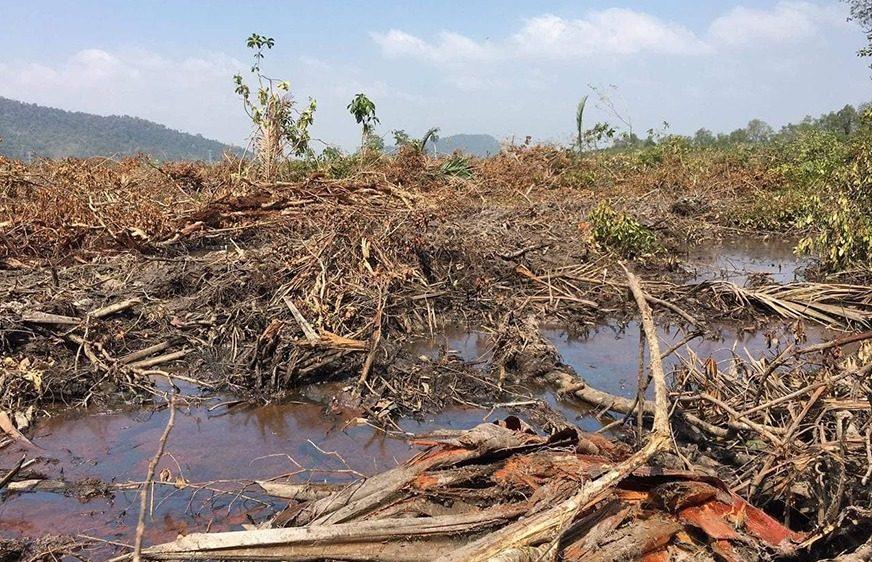 អ្នក​ភូមិ​​នៅ​​កោះកុង​​អះអាង​​ថា ​​ព្រៃ​កោងកាង​​និង​​ព្រៃ​លិច​ទឹក​​ជាង​១៧​ហិ​កតា​​កំពុង​​រង​​ការ​​ឈូស​​ឆាយ​​