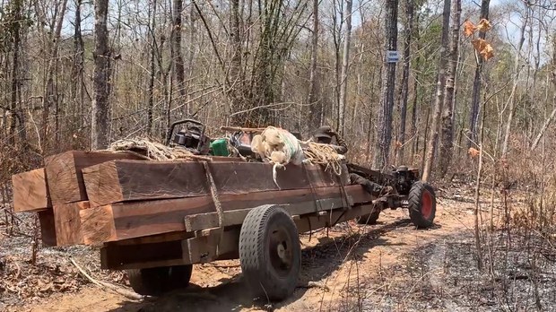 ក្រុម​អ្នក​កាប់​ឈើ​ក្នុង​តំបន់​ព្រៃ​ឡង់​ផ្ទុះ​ការ​តវ៉ា បន្ទាប់​ពី​ក្រុម​ហ៊ុន MACLE LOGISTICS​ មិន​សង​លុយ