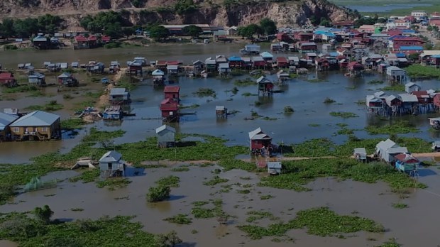 អង្គការ​សហប្រជាជាតិ​អំពាវនាវ​ឱ្យ​មាន​ការ​ការពារ​តំបន់​ព្រៃ​លិច​ទឹក​នៅ​បឹង​ទន្លេសាប