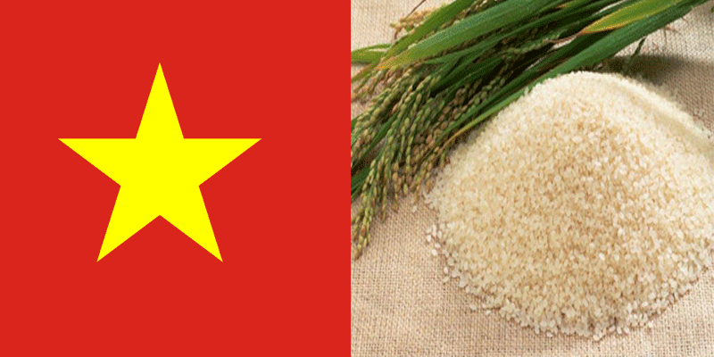 វៀតណាម នឹងរកវិធីជួយទិញអង្ករពីកសិករកម្ពុជាក្នុងតម្លៃដូចនៅវៀតណាម