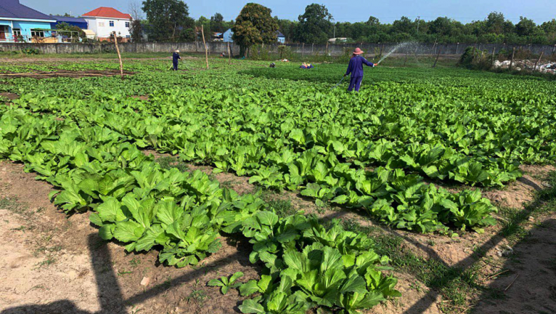 វគ្គ​បណ្តុះបណ្តាល​វិជ្ជាជីវៈ​សម្រាប់​ទណ្ឌិត​ចេញពី​ពន្ធនាគារ​នឹងត្រូវ​ពិភាក្សា​បន្ត ក្រោយ​ជជែក​ជាមួយ UN