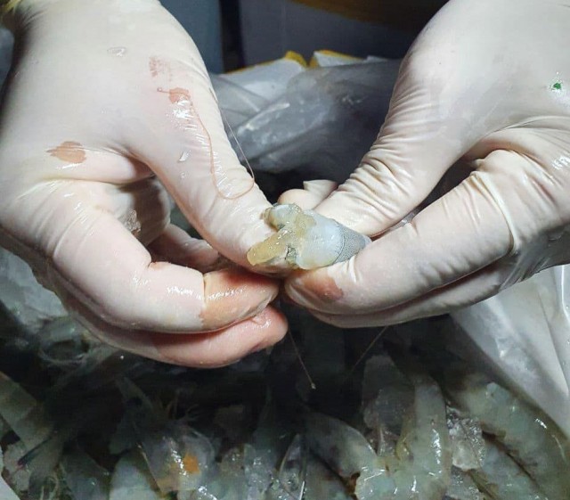 បង្គាចាក់ចាហួយនាំចូលពីវៀតណាមជាង១ពាន់គីឡូក្រាមទៀត ត្រូវបានអាជ្ញាធររឹបអូស