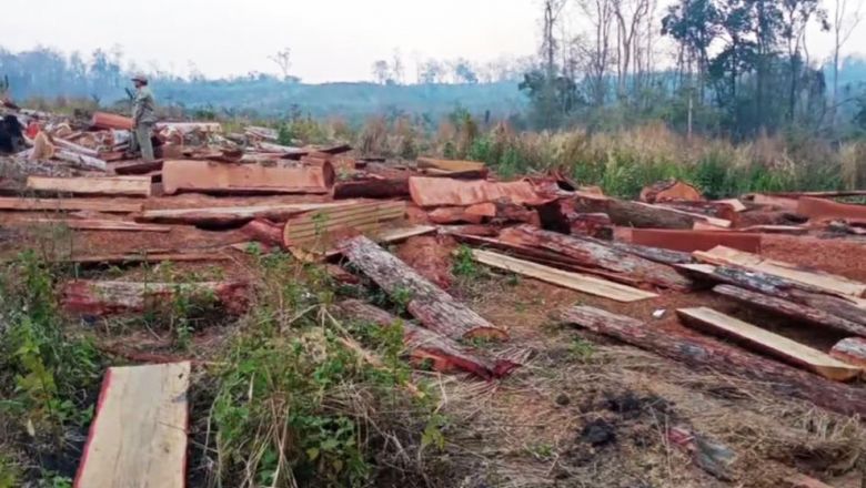 សមត្ថកិច្ច​កំពុង​ស្រាវ​ជ្រាវ​រក​ម្ចាស់ ​ដែល​យក​ឈើ​មក​ច្នៃ​នៅ​ជាប់​នឹង​ទីលាន​ប្រណាំង​រថ​យន្ត​គោព្រៃ 