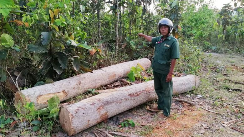 សកម្មជន​ថា បទល្មើស​ព្រៃឈើ​នៅតែ​កើត​មាននៅ​ភ្នំ​ឱរ៉ាល់​ និង​ក្រវាញ