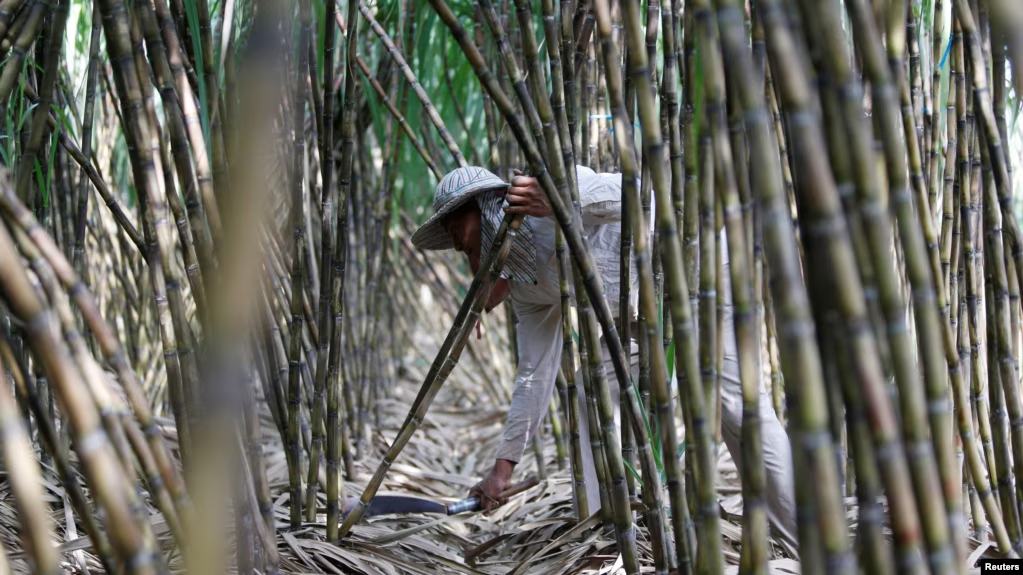 ពលរដ្ឋ​នៅ​ខេត្ត​កោះកុង​២០០​គ្រួសារ​​ទទួល​បាន​ដំណោះស្រាយ​ពី​អ្នក​ពាក់​ព័ន្ធ​នឹង​ក្រុម​ហ៊ុន​ស្ករ​ស​ ដែល​មាន​មូល​ដ្ឋាន​នៅ​ថៃ 