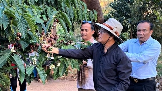 ជំនួបលោក កឹម សុខា និងលោក យ៉ង សាំងកុមារ អាចជាសញ្ញារួបរួមនៃអ្នកប្រជាធិបតេយ្យ