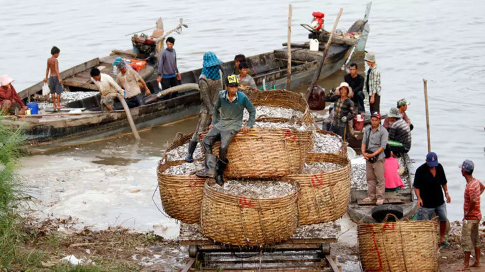 ក្រសួងកសិកម្ម សម្រេចបើកផ្លូវឲ្យនាំចូលត្រីពីប្រទេសជិតខាងឡើងវិញ